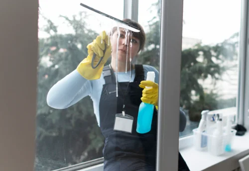Nettoyage de vitres intérieures et extérieures à Bérat